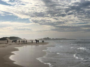 St Francis Bay - Horses on the beach | Ocean Bay Recovery - Addiction Recovery