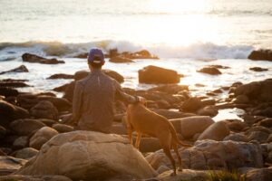 Man and his dog staring at sunset - St Francis Bay | Ocean Bay Recovery: Addiction Recovery