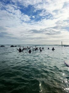 Home 105 Client slipway swim