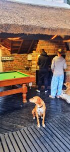 Hospitality 4 Copy of Braai lapa zimbi