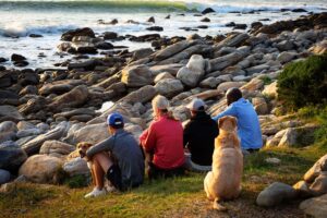 Home 122 Group bruces facing ocean