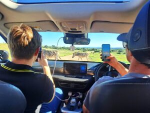 Home 88 addo harry jac car zebras